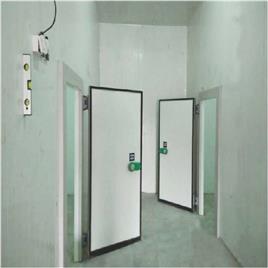 Cold Room Overlap Door 100mm (900x1800mm) SS/SS