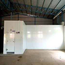 Saffron Cultivation Cold Room