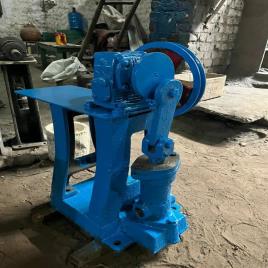 Automatic Commercial Expeller Filter Pump