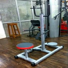 Commercial Fitness Twister Machine