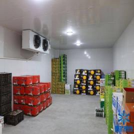 Commercial Automatic Fruit Cold Storage Rental