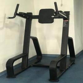 Commercial Dips Parallel Bar