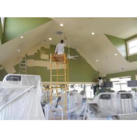 Commercial Building Coating