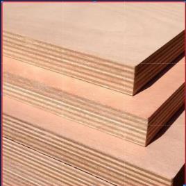 Commercial Plywood, Eucalyptus Core, 8x4