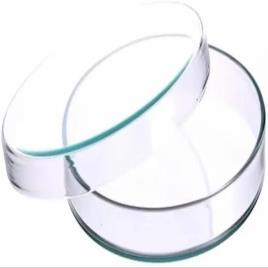Conical Glass Petri Dish, Laboratory