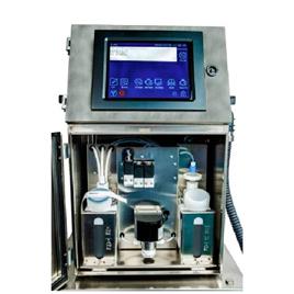 Continuous Batch Coding Printer