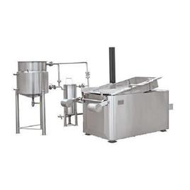 Continuous Commercial Chip Fryer