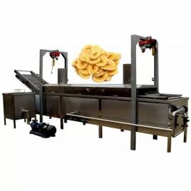 Commercial Continuous Fryer