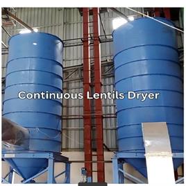Continuous Lentils Drying Machine
