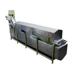 Conveyor Blanching Machine