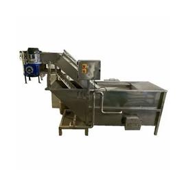 Conveyor Style Vegetable Washing Equipment