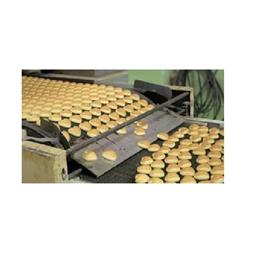 Cookies Manufacturing Equipment