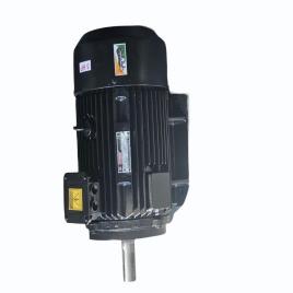 Three Phase Cooling Tower Electric Motors