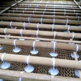 Cooling Tower Water Distribution Equipment