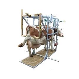 Bovine Hoof Trimming Machine