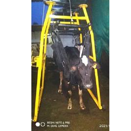 Livestock Lifting Hoist Equipment