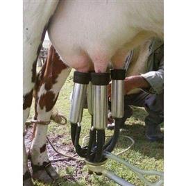 Stainless Steel Cow Milking Cluster