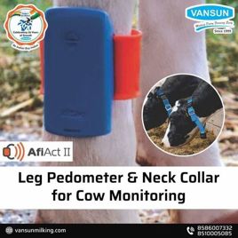 Cow Tracking Pedometer