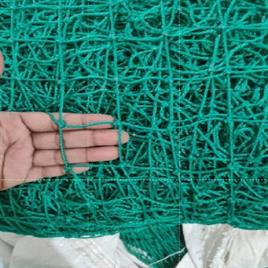 Cricket Netting