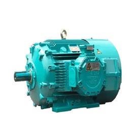 2HP Three Phase Flameproof Motor