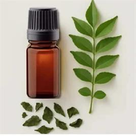 Curry Leaf Oil