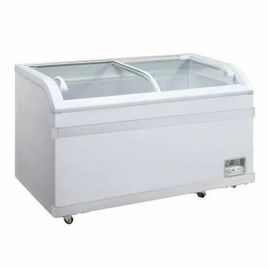Curved Glass Storage Freezer