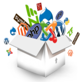 Custom Software Engineering