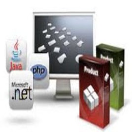 Bespoke Web Application Development