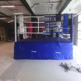 Customizable Mini Boxing Ring 24x24