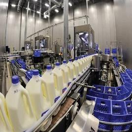 Dairy Processing Homogenizer, 220V