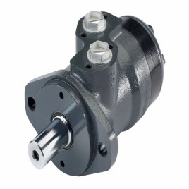 Polished Hydraulic Motor