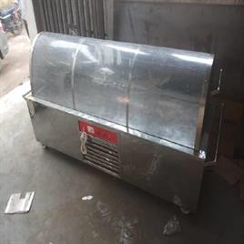 Stainless Steel Body Freezer