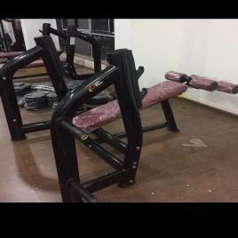 Olympic Decline Training Bench