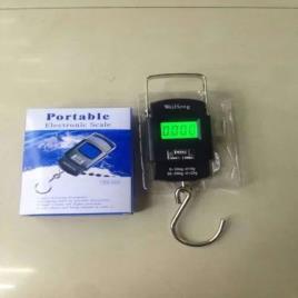 Deep Econotech 50kg Plastic Hanging Scale