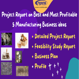 Manufacturing Business Ideas Project Report