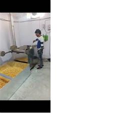 Stainless Steel Diesel Fryer Machine