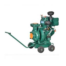 Diesel Engine Driven Pumpset