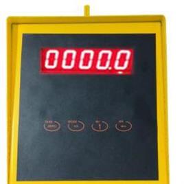 Multi-Purpose Digital Hanging Scale