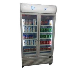 Upright Double Door Visi Freezer