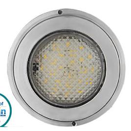 Dolphin SS SMD Pool Light