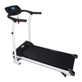 Dolphy Motorized Folding Treadmill 1000*360 mm