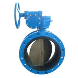 Double Flange Valve