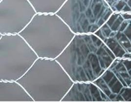 Galvanized Iron Hexagonal Chicken Wire Mesh