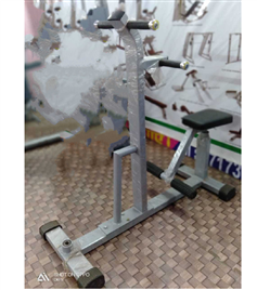 Gym Double Twister Equipment