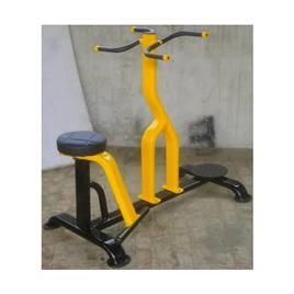 Commercial Gym Double Twister