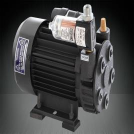 Industrial Dry Vacuum Pumps