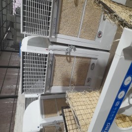 Duck Air Cooler Machine