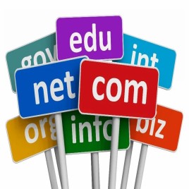 Dynamic Domain Registration
