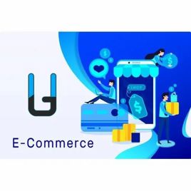 E-commerce Application Design & Development