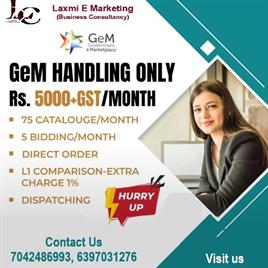 E commerce Business Support Team